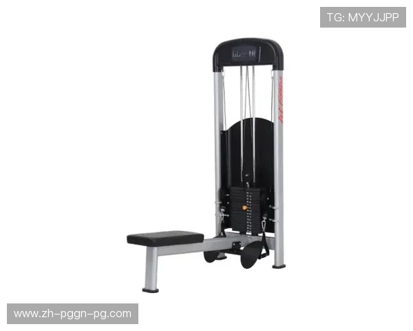 腰部肌肉健身器材：推荐几款帮助锻炼腰部肌肉的健身器材